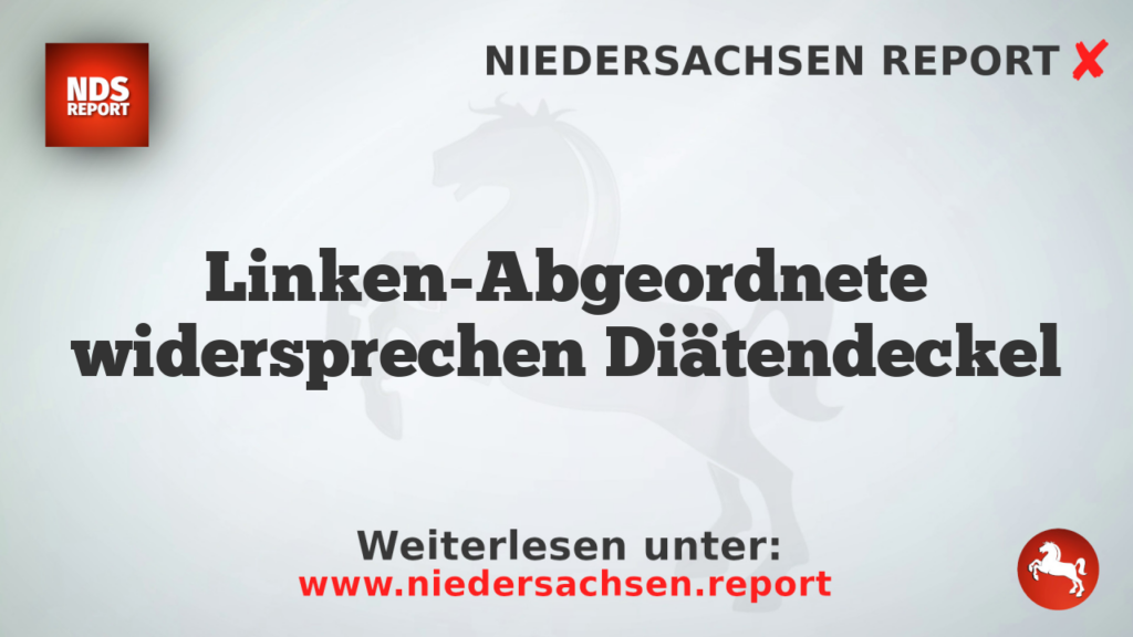 Linken-Abgeordnete widersprechen Diätendeckel
