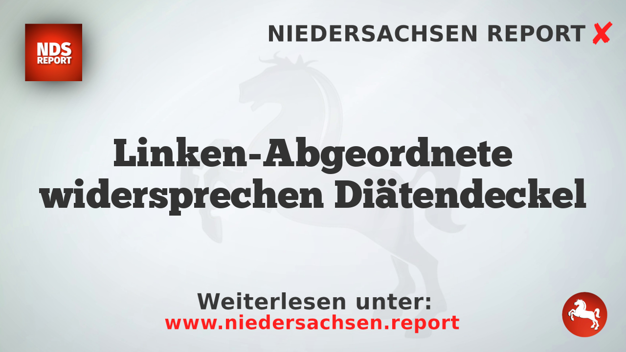 Linken-Abgeordnete widersprechen Diätendeckel