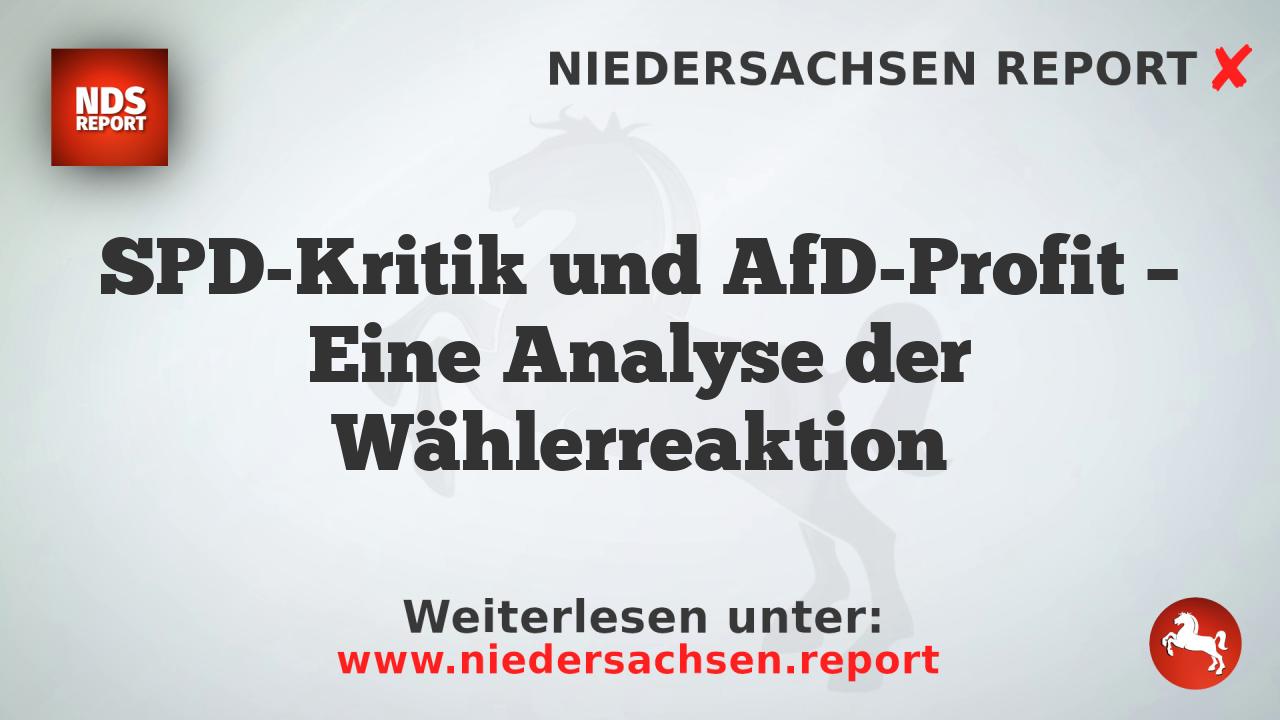 SPD-Kritik und AfD-Profit – Eine Analyse der Wählerreaktion