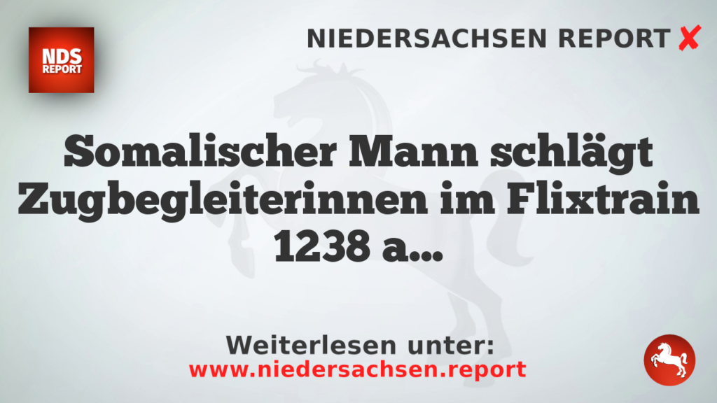 Somalischer Mann schlägt Zugbegleiterinnen im Flixtrain 1238 an