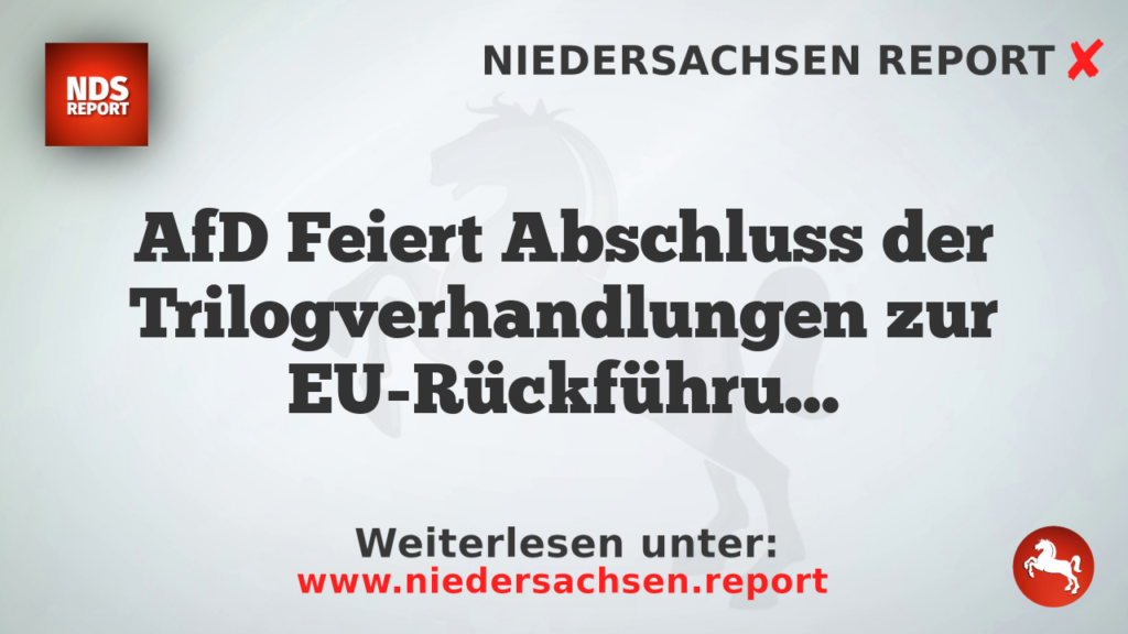 AfD Feiert Abschluss der Trilogverhandlungen zur EU-Rückführungsverordnung