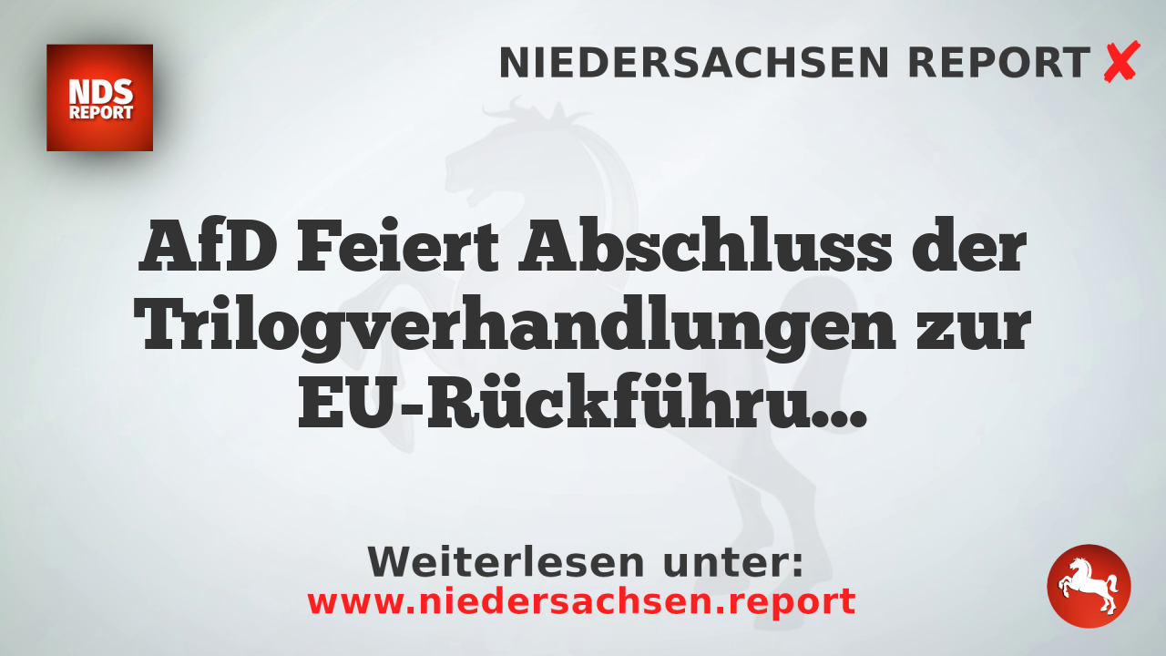 AfD Feiert Abschluss der Trilogverhandlungen zur EU-Rückführungsverordnung