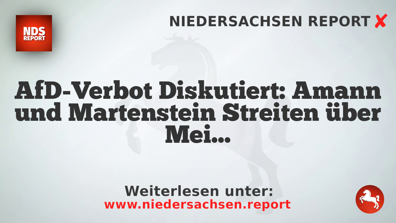 AfD-Verbot Diskutiert: Amann und Martenstein Streiten über Meinungsfreiheit