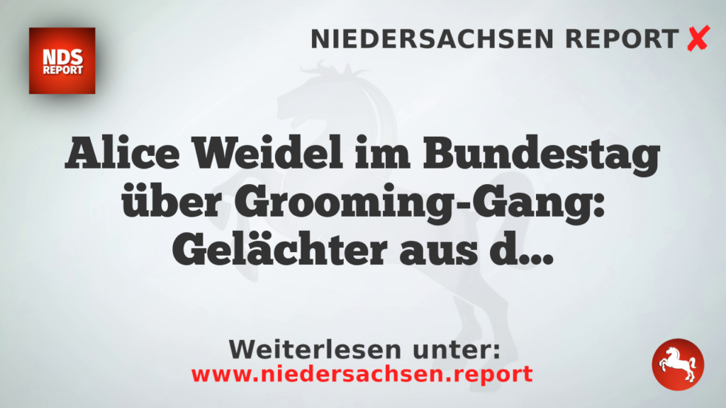 Alice Weidel im Bundestag über Grooming-Gang: Gelächter aus der Linkspartei