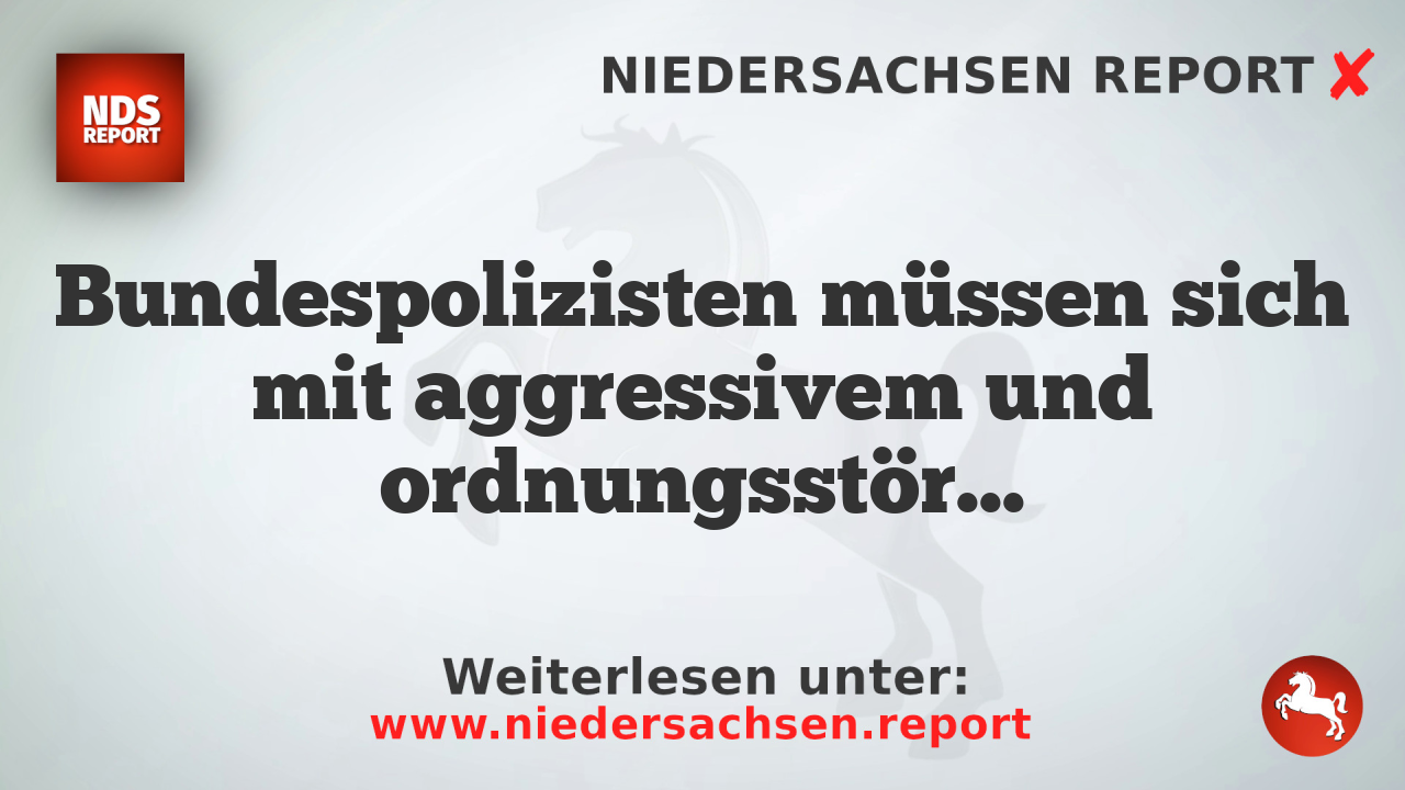 Bundespolizisten müssen sich mit aggressivem und ordnungsstörendem Verdächtigen auseinandersetzen