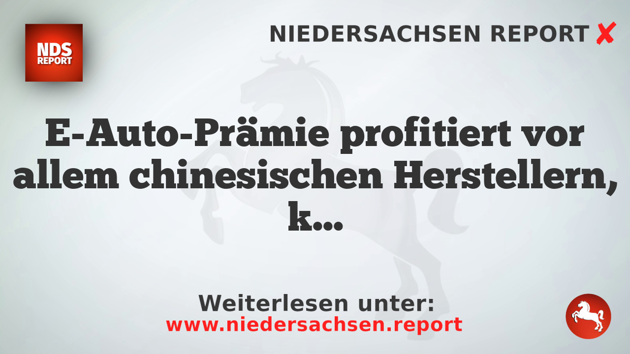 E-Auto-Prämie profitiert vor allem chinesischen Herstellern, kritisiert Automobilhändler