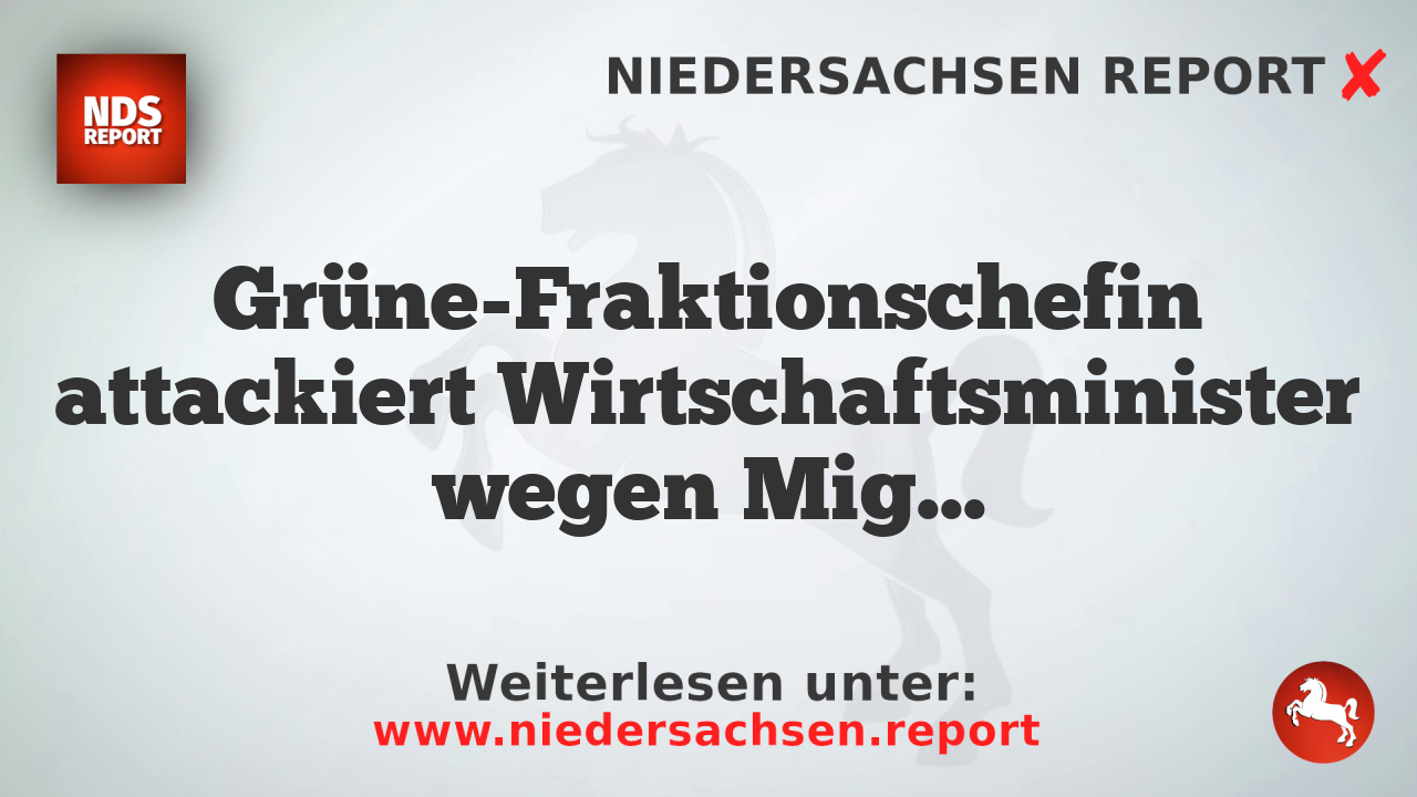 Grüne-Fraktionschefin attackiert Wirtschaftsminister wegen Migrationspolitik