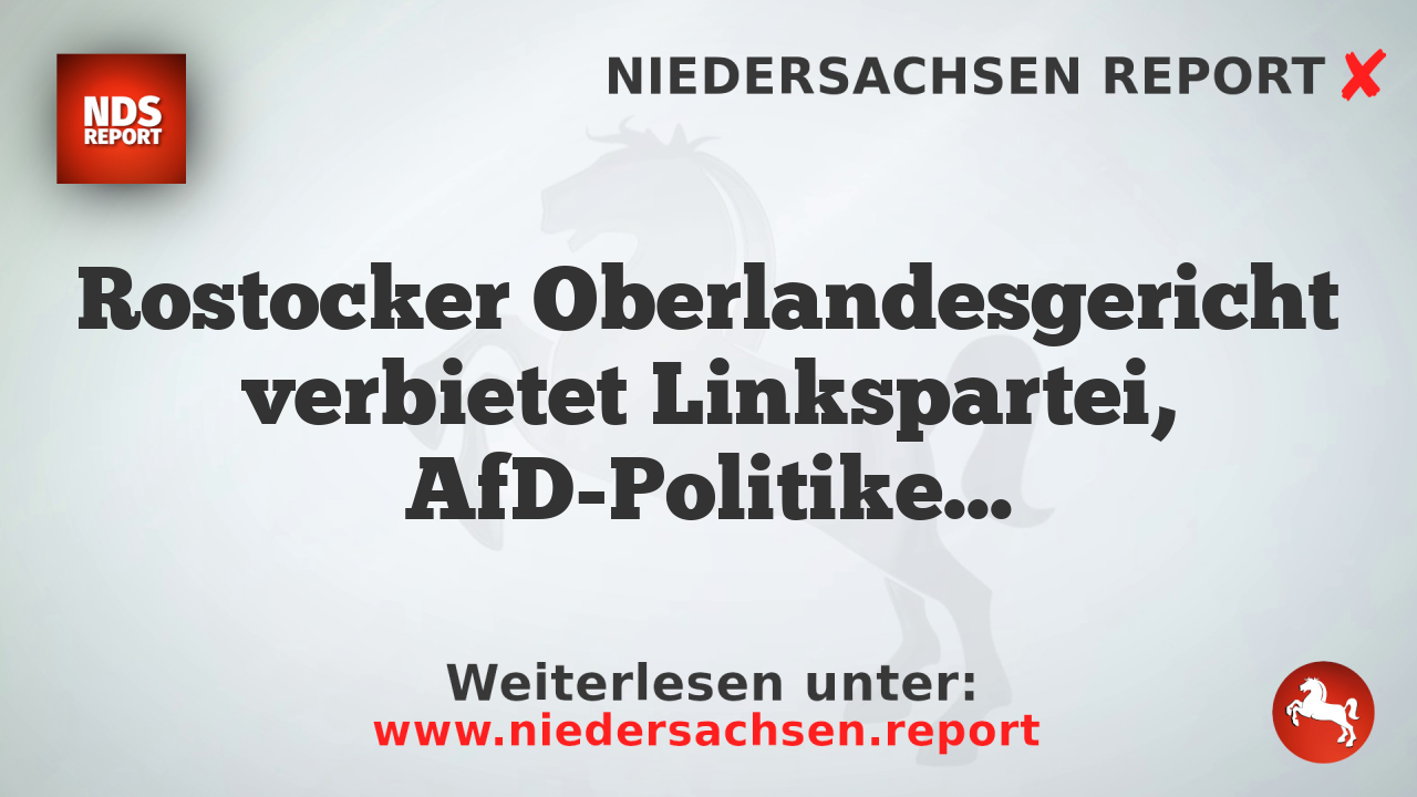 Rostocker Oberlandesgericht verbietet Linkspartei, AfD-Politiker zu beschimpfen