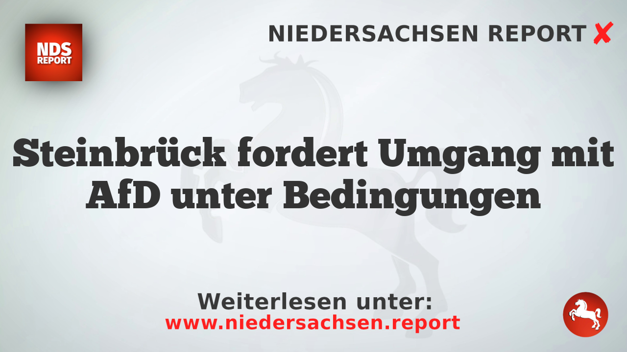 Steinbrück fordert Umgang mit AfD unter Bedingungen