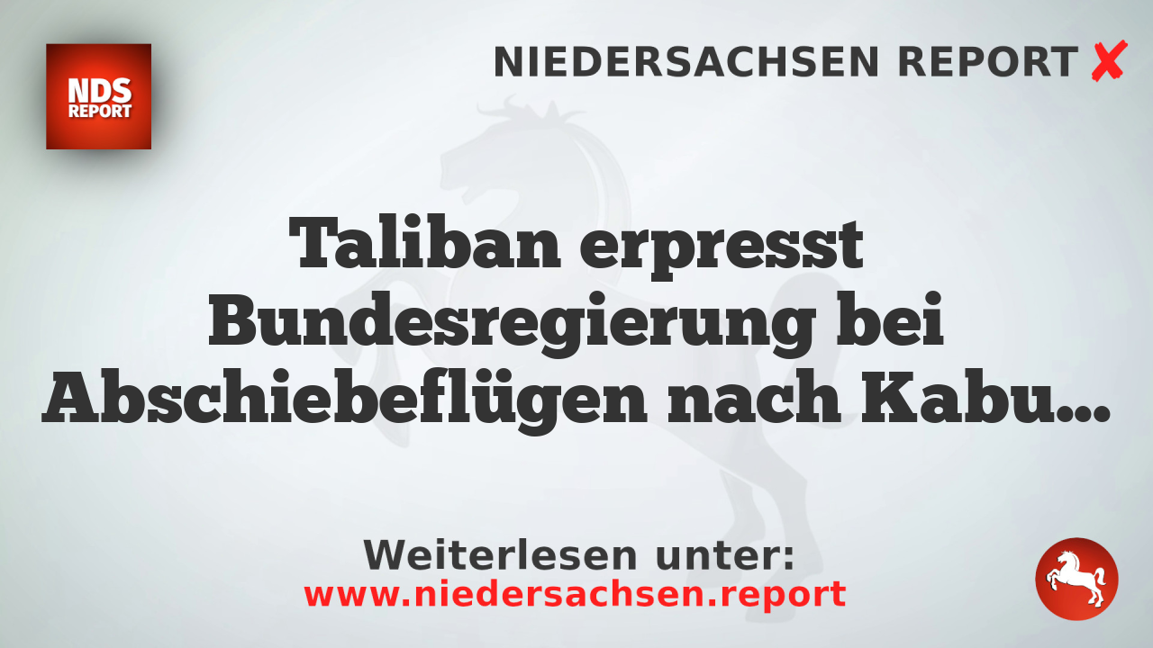 Taliban erpresst Bundesregierung bei Abschiebeflügen nach Kabul