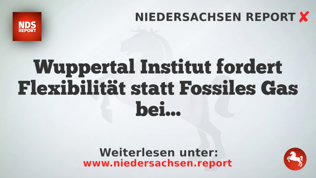Wuppertal Institut fordert Flexibilität statt Fossiles Gas bei Dunkelflauten
