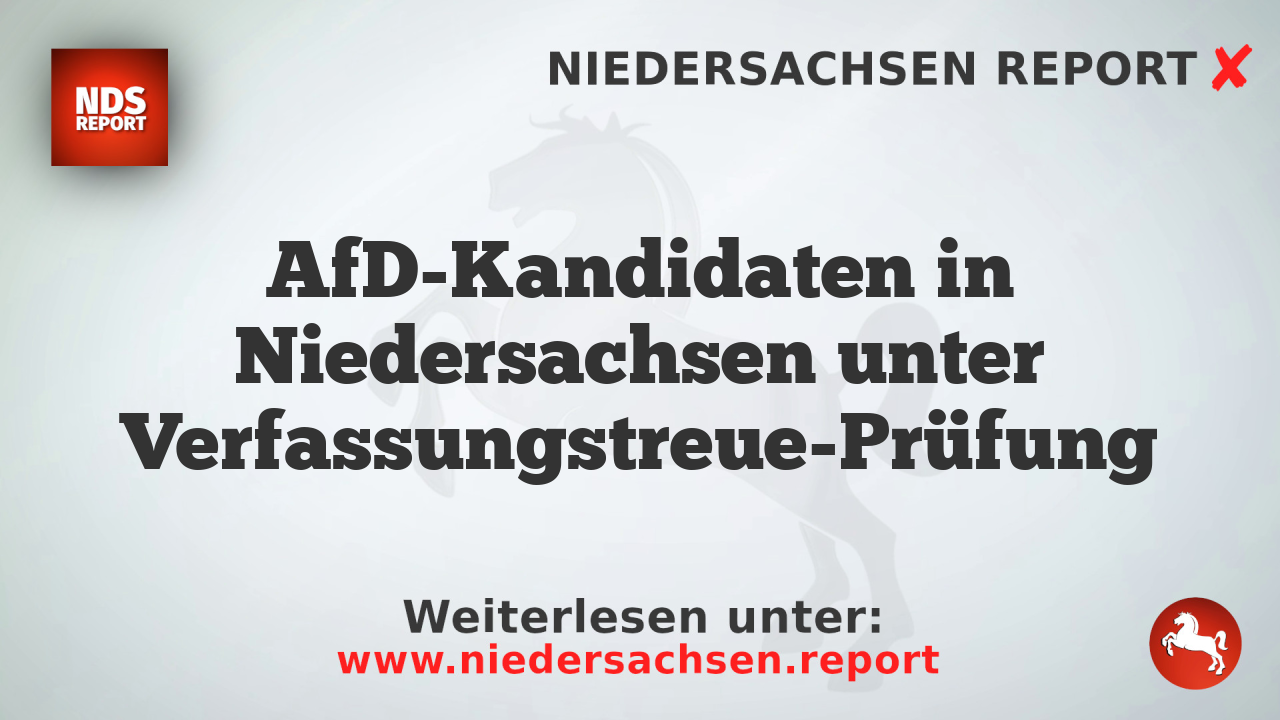 AfD-Kandidaten in Niedersachsen unter Verfassungstreue-Prüfung