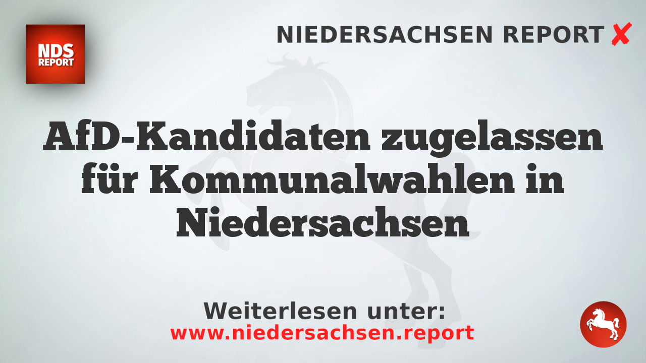 AfD-Kandidaten zugelassen für Kommunalwahlen in Niedersachsen
