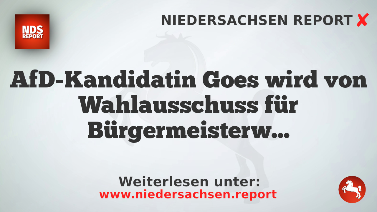 AfD-Kandidatin Goes wird von Wahlausschuss für Bürgermeisterwahl in Nörten-Hardenberg nicht zugelässt