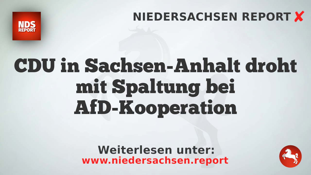 CDU in Sachsen-Anhalt droht mit Spaltung bei AfD-Kooperation