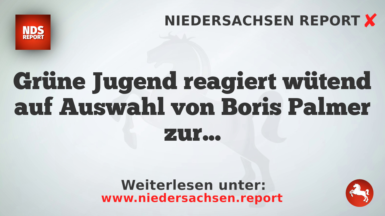 Grüne Jugend reagiert wütend auf Auswahl von Boris Palmer zur Bürokratieberater