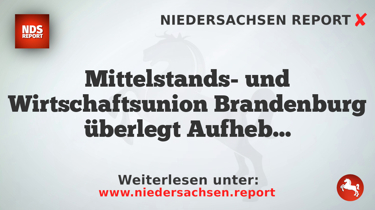 Mittelstands- und Wirtschaftsunion Brandenburg überlegt Aufhebung der „Brandmauer“ gegen AfD