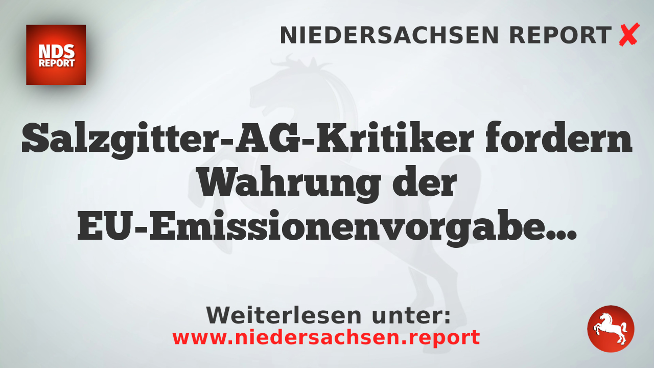 Salzgitter-AG-Kritiker fordern Wahrung der EU-Emissionenvorgaben