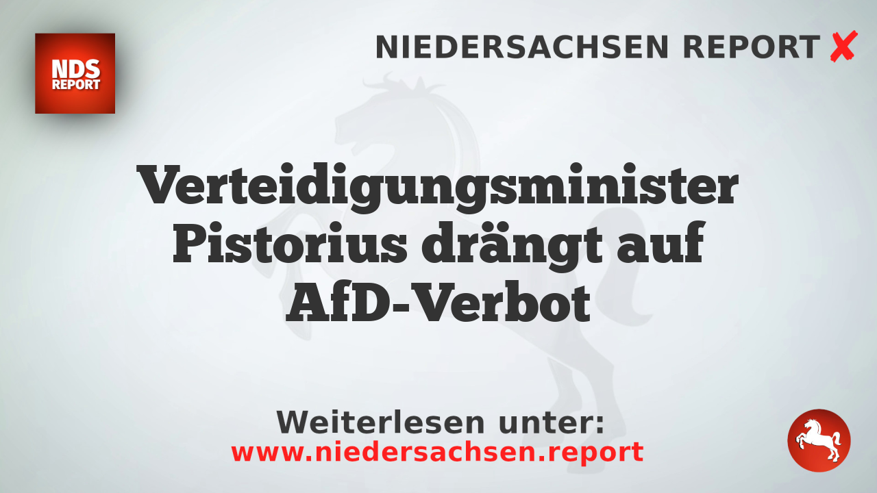 Verteidigungsminister Pistorius drängt auf AfD-Verbot